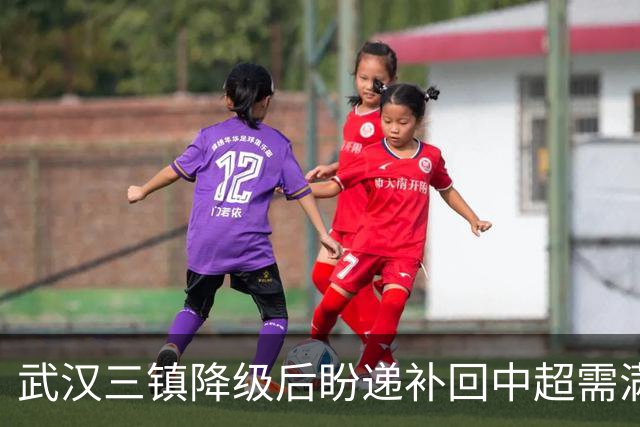 武汉三镇降级后盼递补回中超需满足三条件